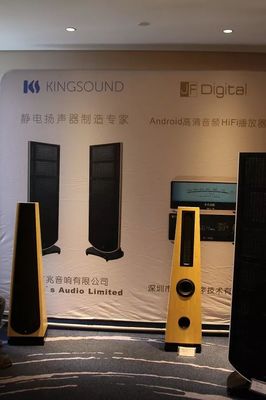 【展會(huì)巡禮】求新求變 前景無限:第十五屆新深圳音響展(展房篇)